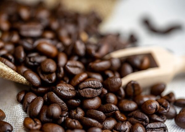 フェアトレードコーヒー：世界の生産国の現状と意義