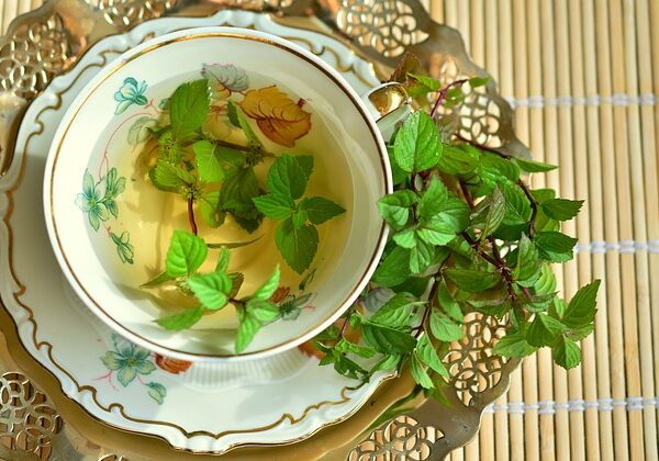「一期一会」に学ぶ人生の尊さ 〜茶道から現代に伝わる精神性〜