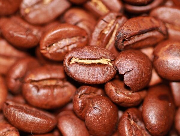 究極のブルーマウンテンコーヒー体験 ～希少性と味わいの秘密に迫る