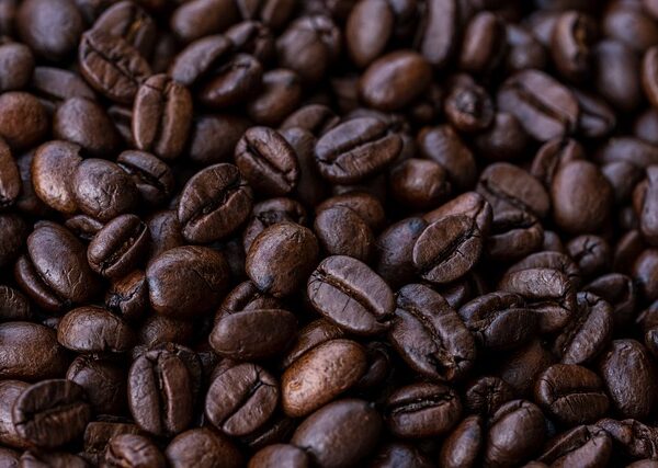 ニカラグアのコーヒー産業の魅力と可能性 – 火山の恵みから生まれる極上の味わい