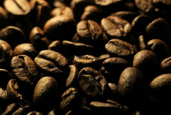 本場の味わい!コスタリカコーヒーの魅力に迫る